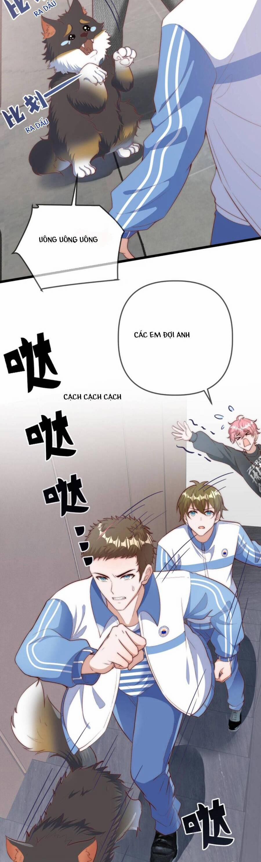 Sủng Bé Cá Koi 3 Tuổi Rưỡi 115 trang 8