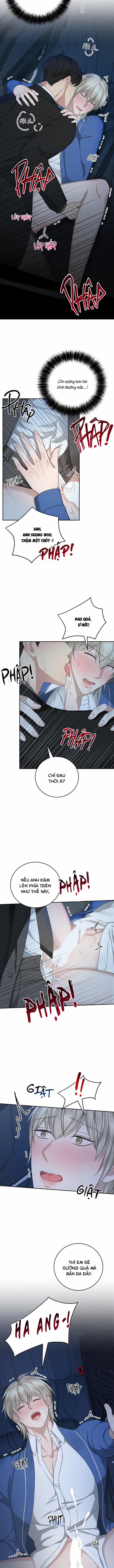 SƯU TẦM GIA 12 trang 2