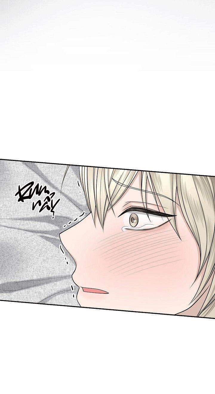 SƯU TẦM GIA 4 trang 41