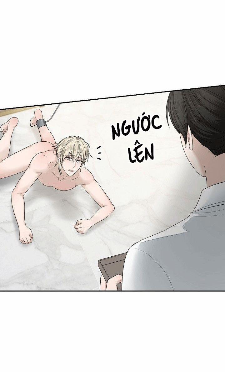 SƯU TẦM GIA 4 trang 46