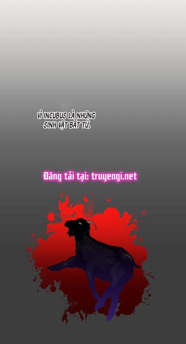 Sweet Dream 16 trang 37