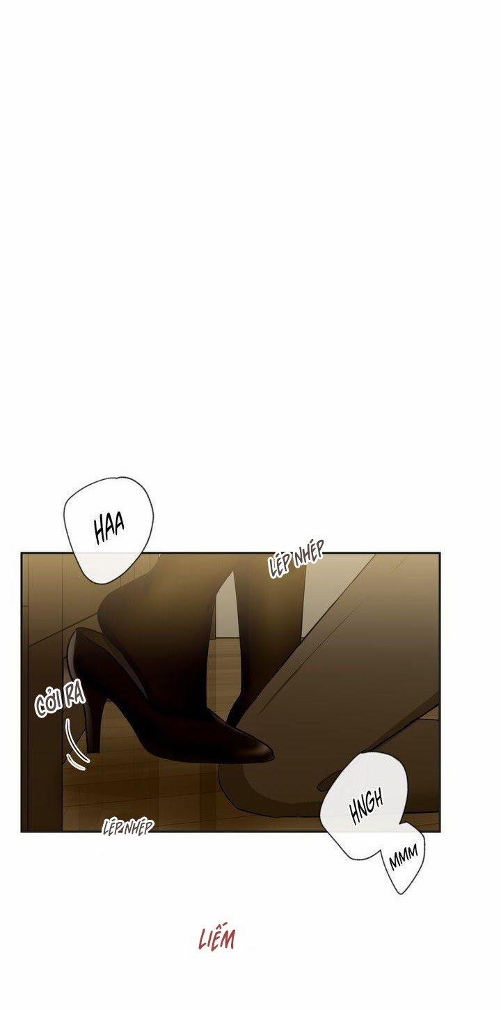 Sweet Dream 22 trang 11