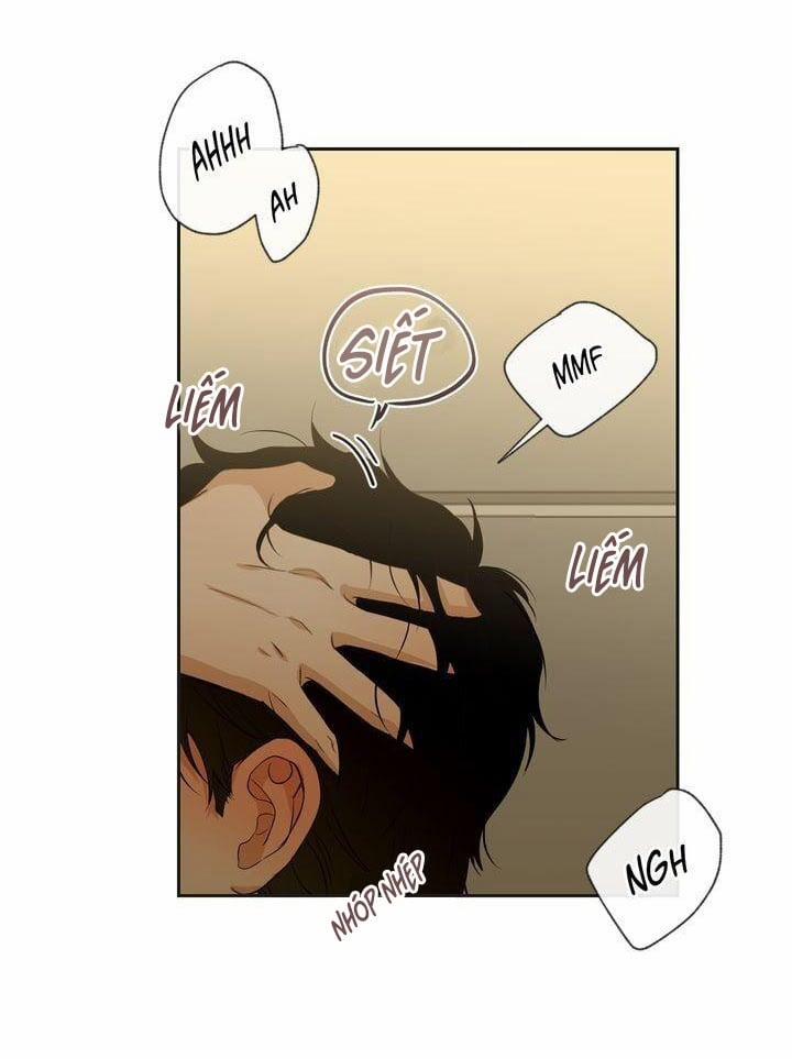 Sweet Dream 22 trang 12