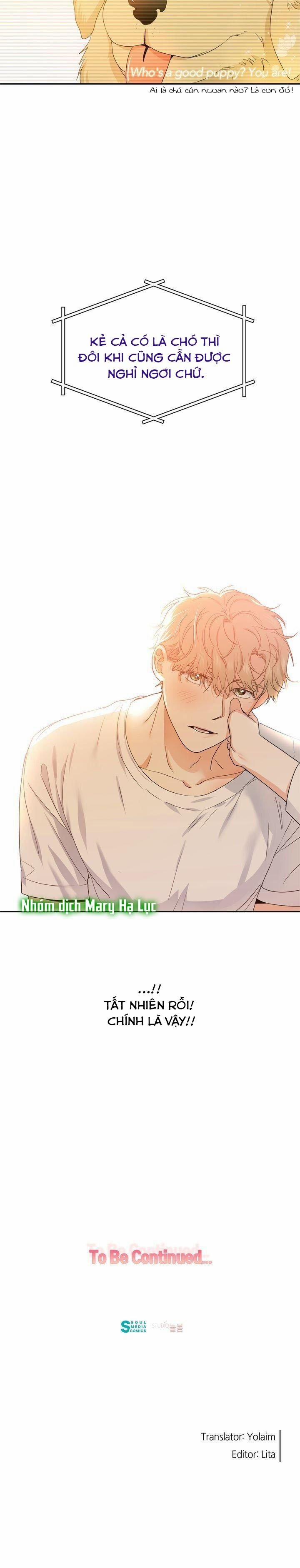 Sweet Dream 28 trang 19