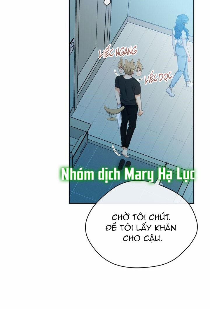 Sweet Dream 37 trang 55