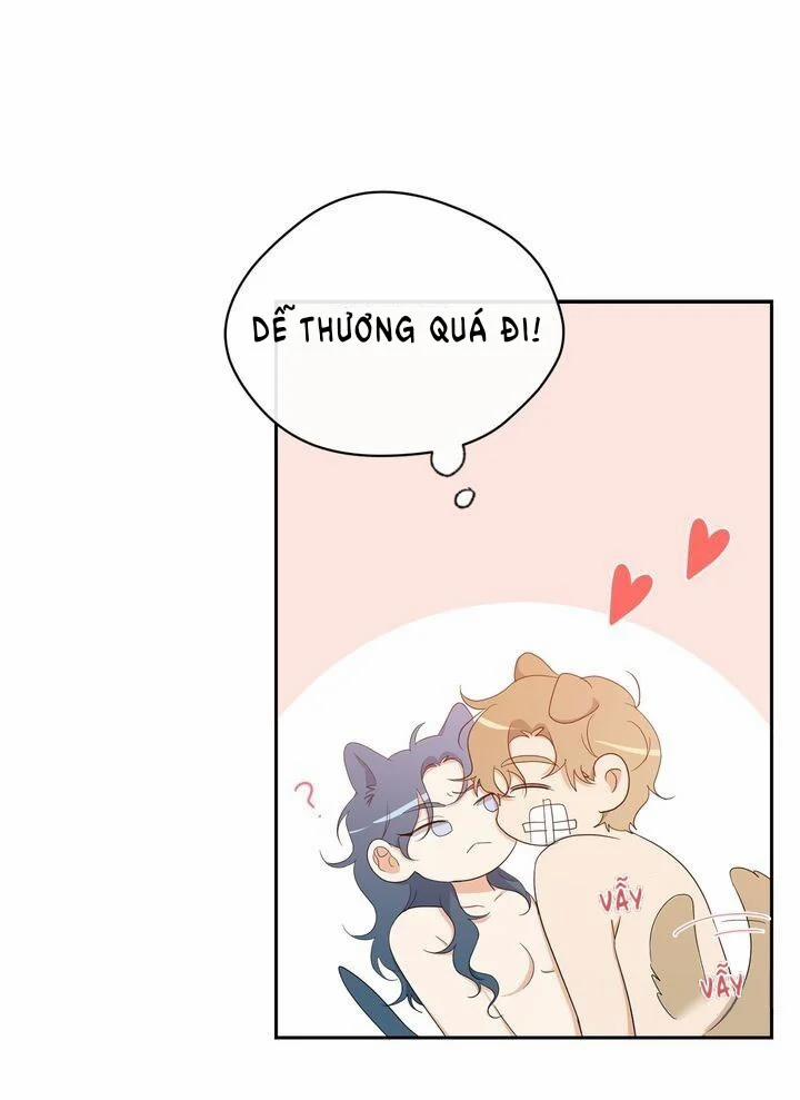 Sweet Dream 39.3 trang 12