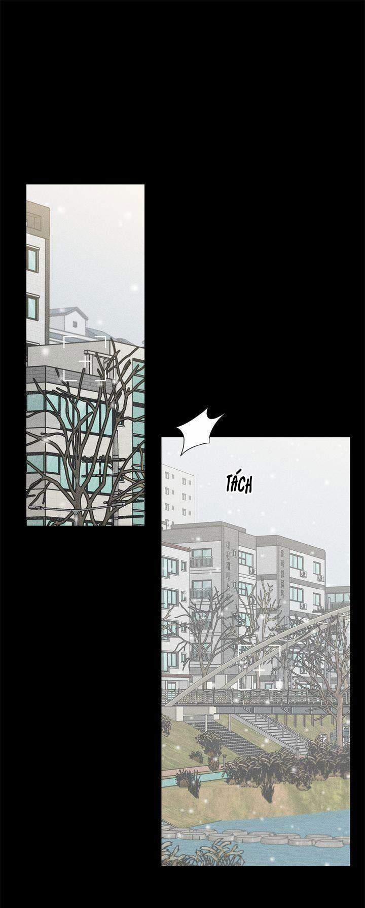 Sweet Dream 41.1 trang 1