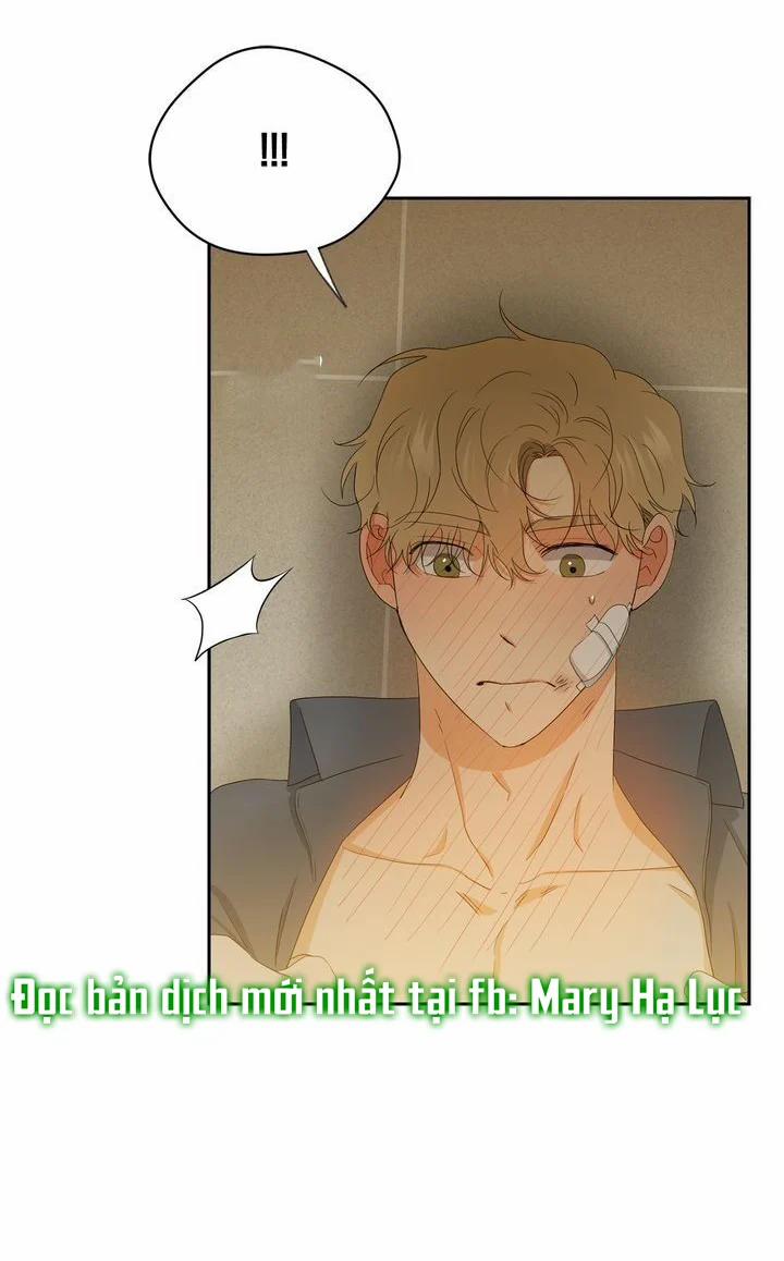 Sweet Dream 43.2 trang 8