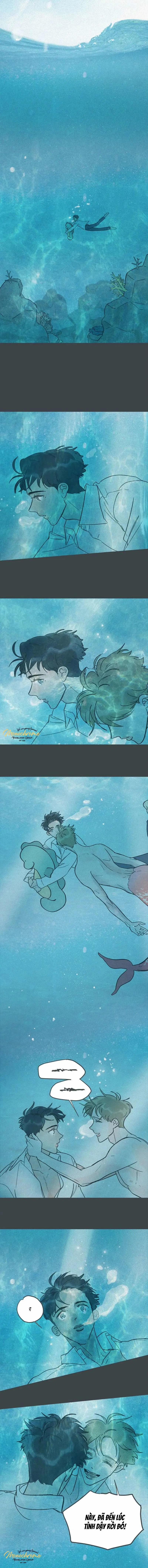 Swing Baby 10 trang 0