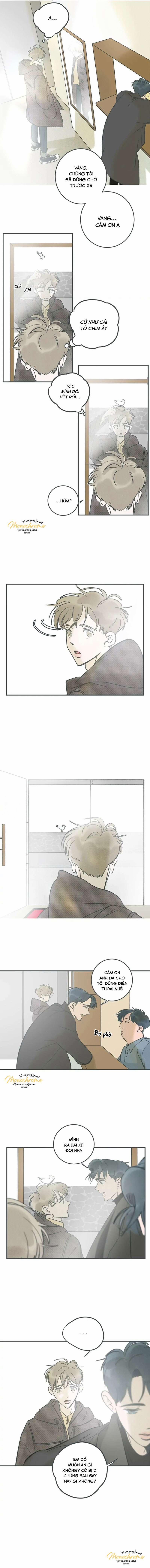 Swing Baby 20 trang 2