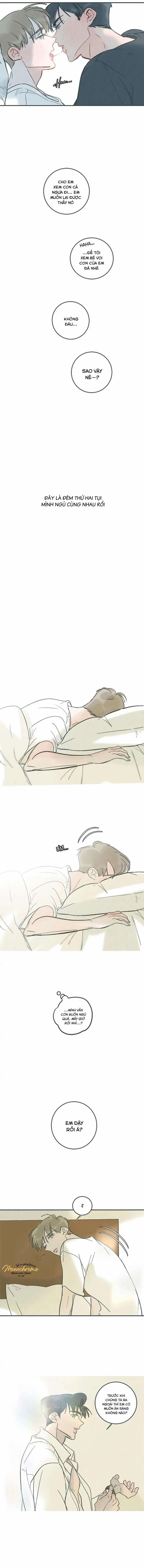 Swing Baby 24 trang 7