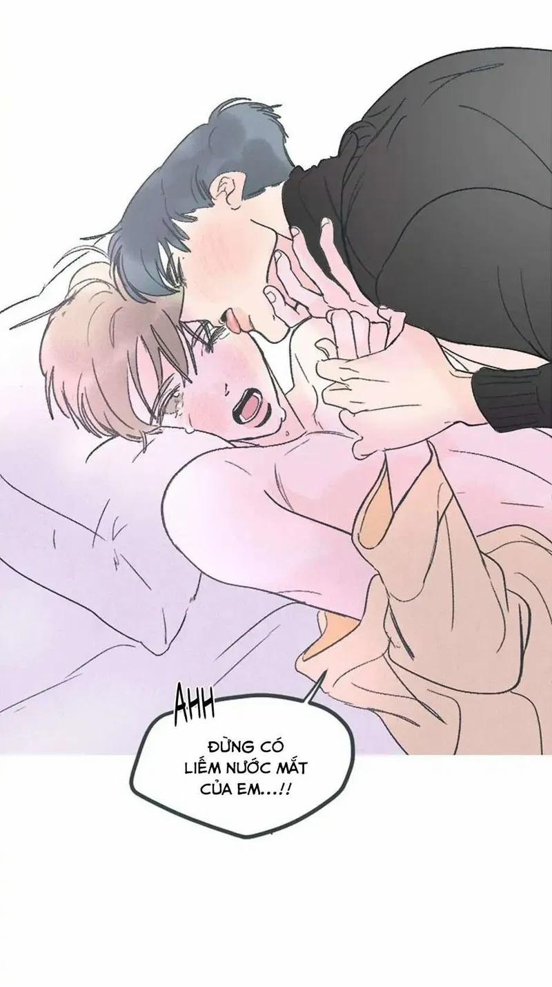 Swing Baby 25.1 trang 24