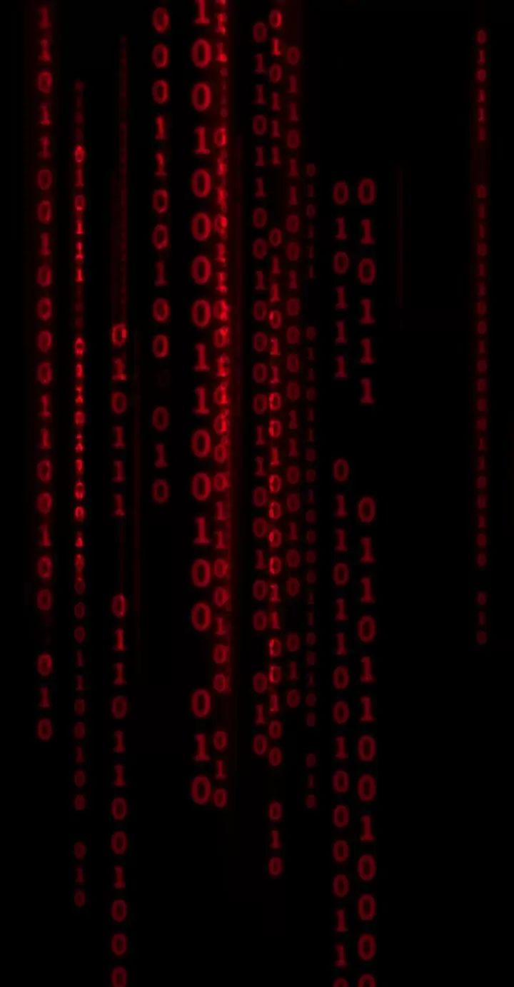 Ta, Chúa Tể Rừng Xanh 12 trang 29