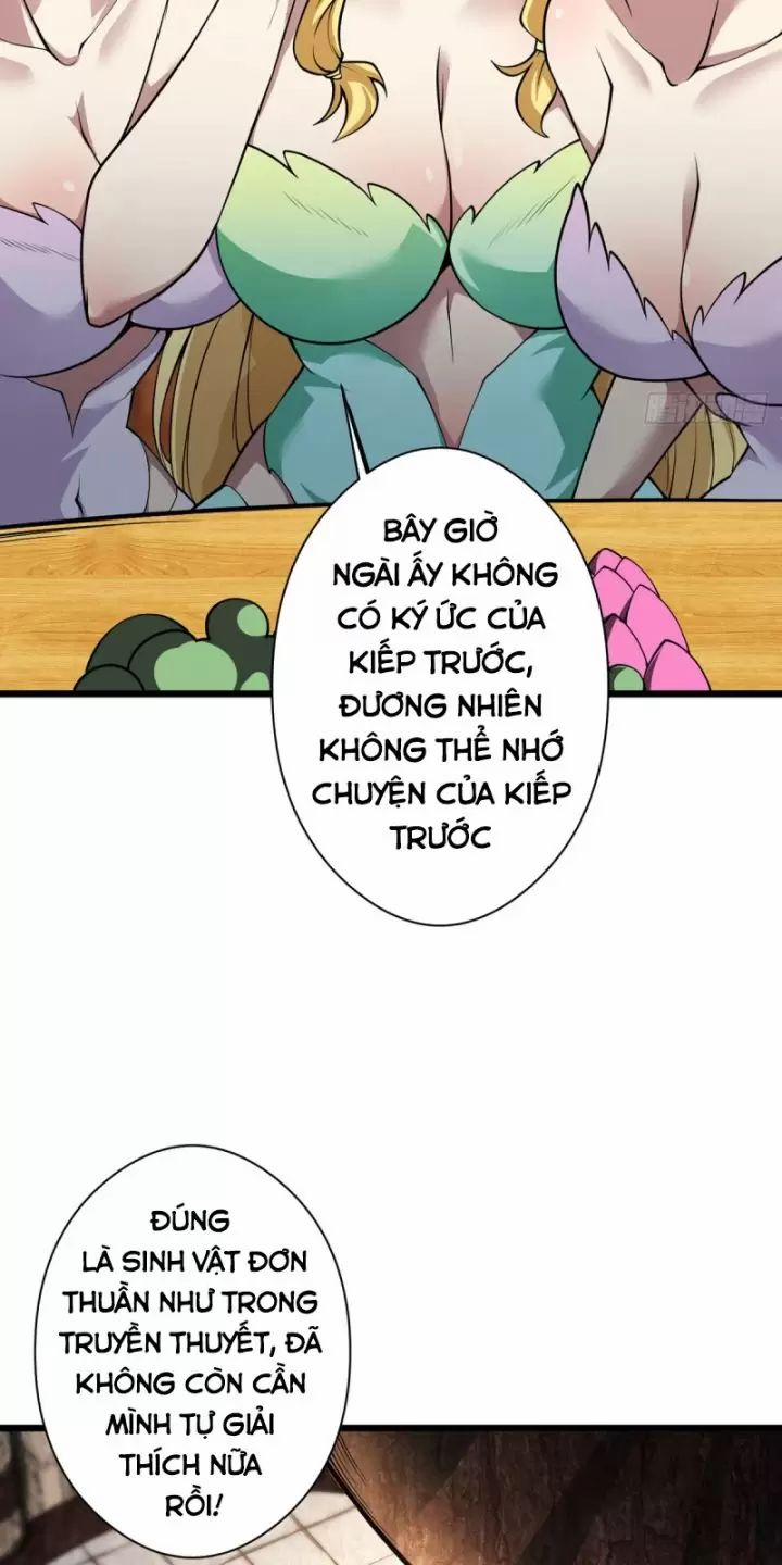 Ta, Chúa Tể Rừng Xanh 17 trang 37