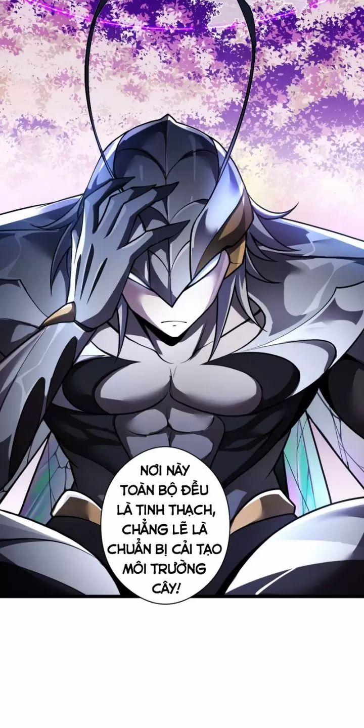 Ta, Chúa Tể Rừng Xanh 26 trang 40