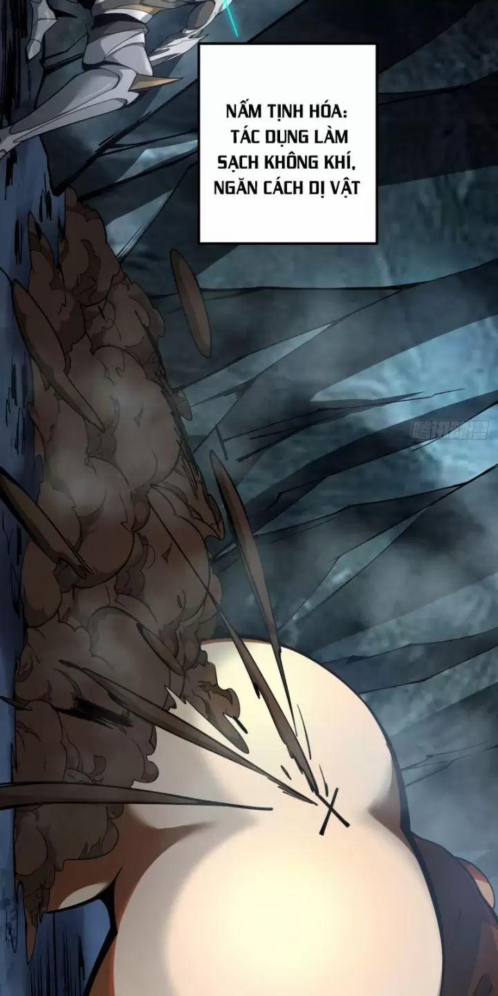 Ta, Chúa Tể Rừng Xanh 6 trang 13