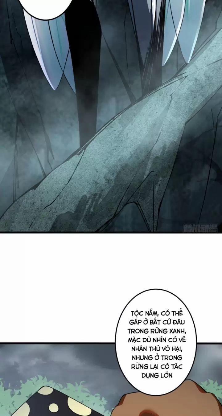 Ta, Chúa Tể Rừng Xanh 6 trang 9