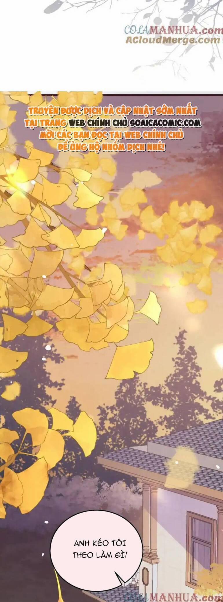 Ta Có Hào Quang Bá Tổng 19 trang 10