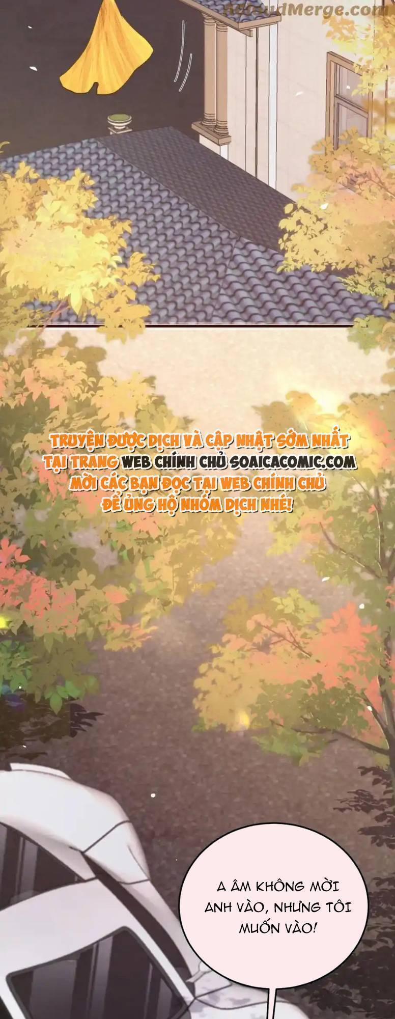 Ta Có Hào Quang Bá Tổng 19 trang 11