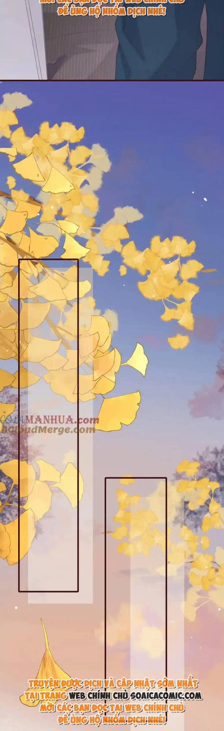 Ta Có Hào Quang Bá Tổng 19 trang 19