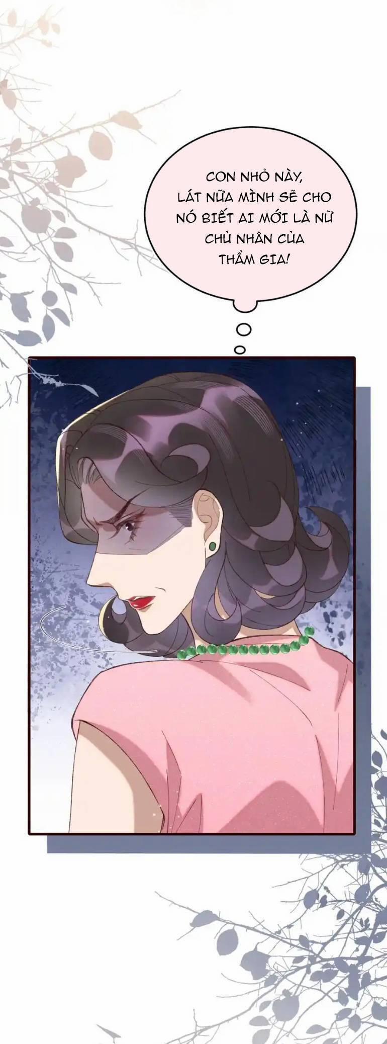 Ta Có Hào Quang Bá Tổng 19 trang 9