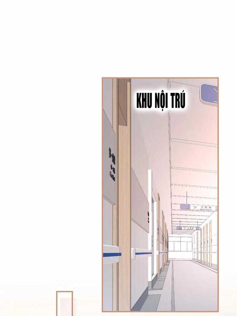 Ta Có Năm Đại Lão Ba Ba 208 trang 16