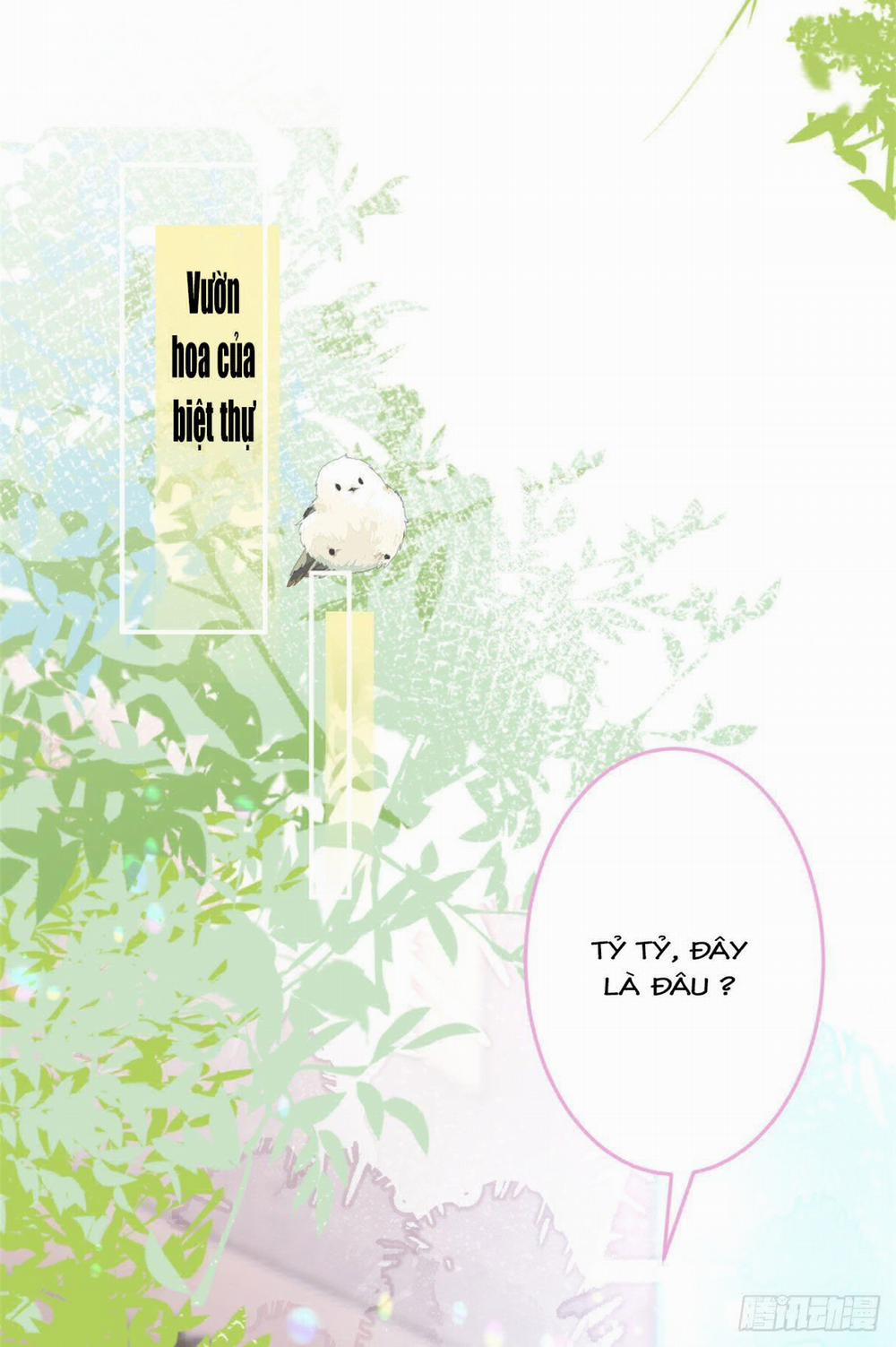 Ta Có Năm Đại Lão Ba Ba 21 trang 11