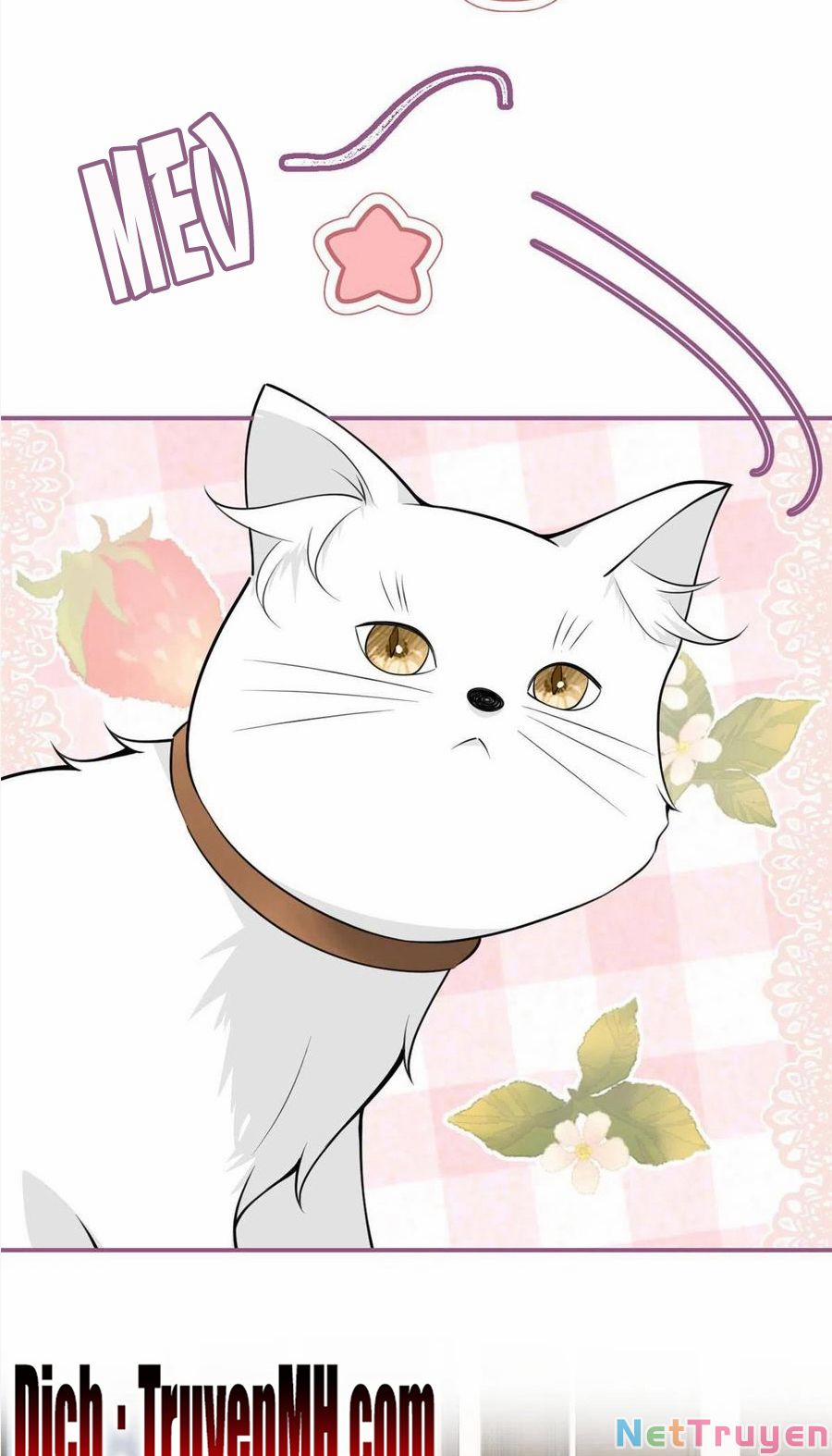 Ta Có Năm Đại Lão Ba Ba 246 trang 10