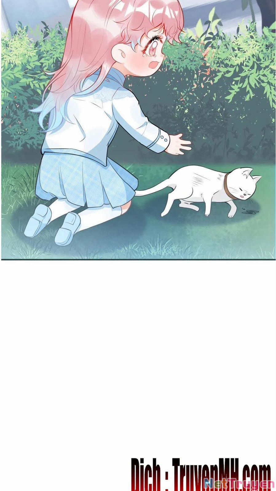 Ta Có Năm Đại Lão Ba Ba 247 trang 10