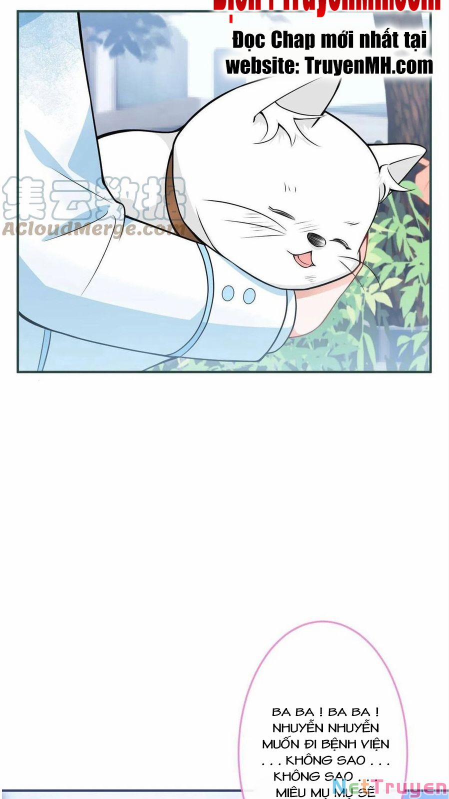 Ta Có Năm Đại Lão Ba Ba 247 trang 11