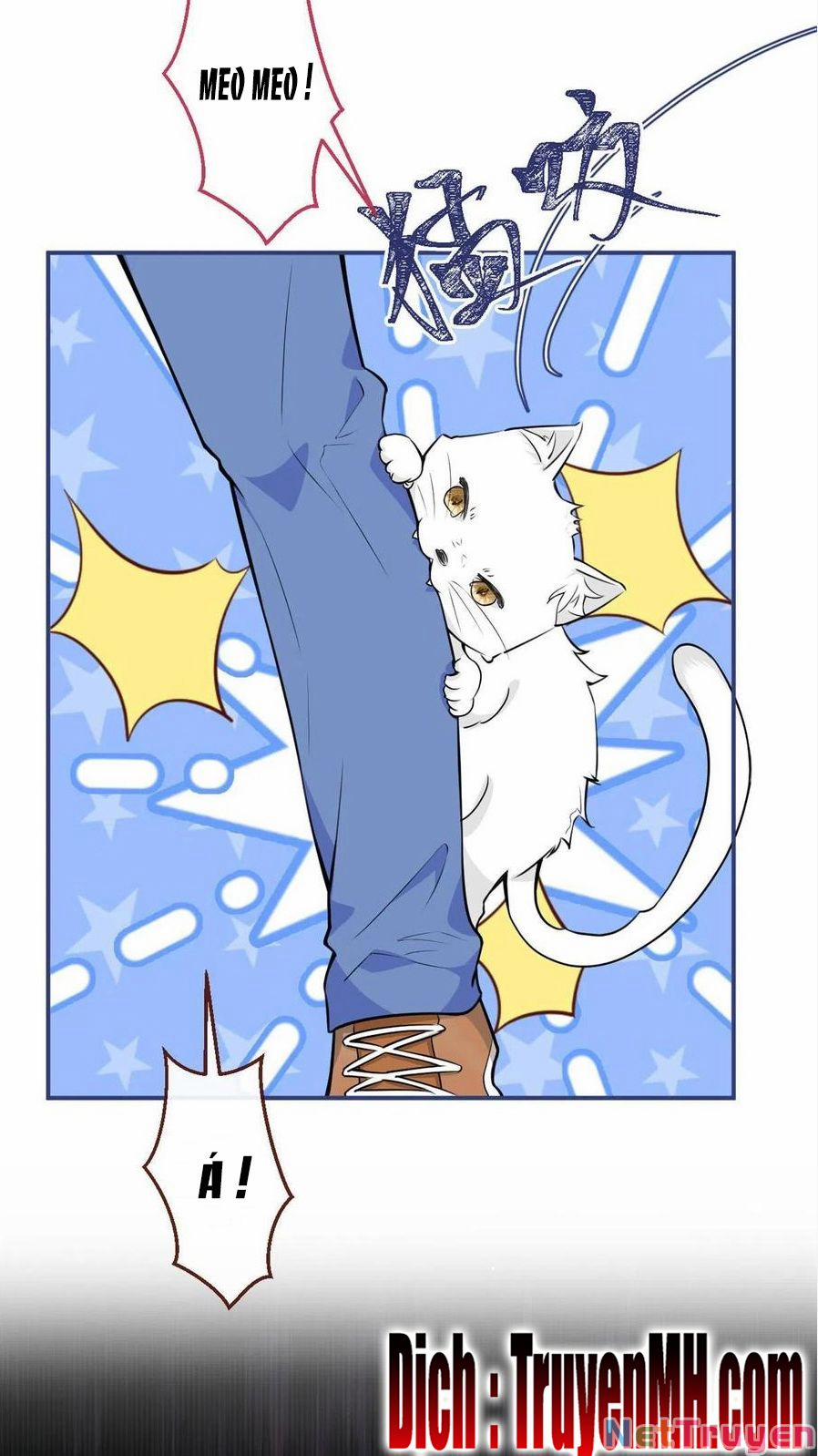 Ta Có Năm Đại Lão Ba Ba 247 trang 3