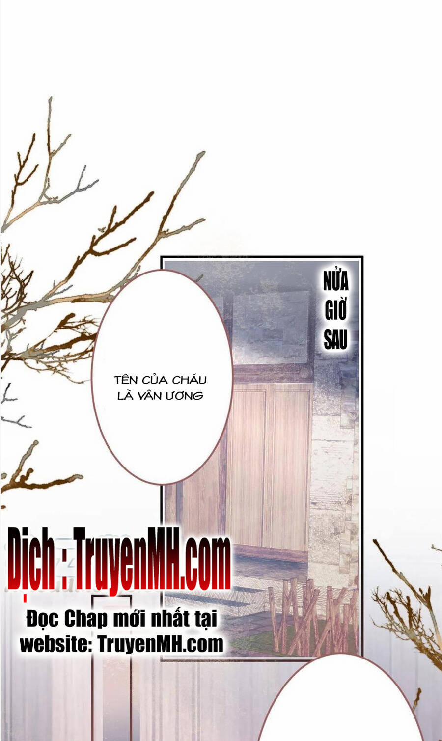 Ta Có Năm Đại Lão Ba Ba 267 trang 1