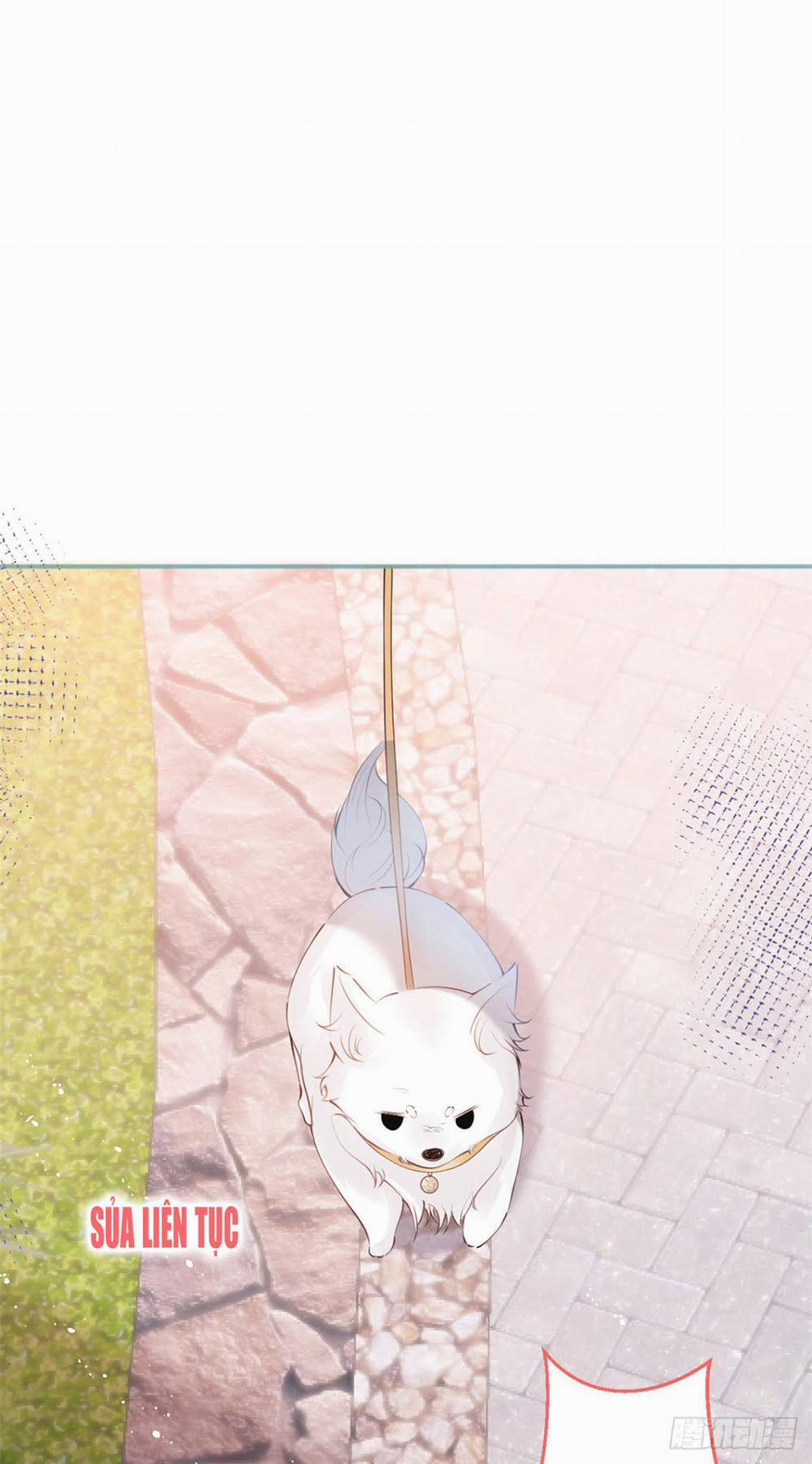 Ta Có Năm Đại Lão Ba Ba 42 trang 13