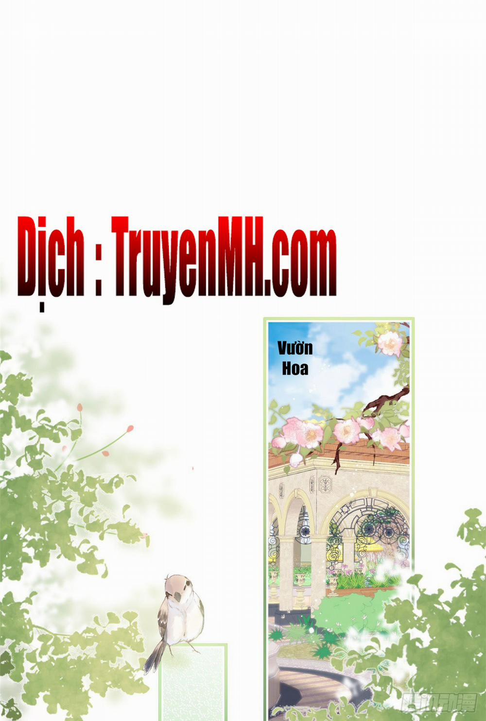 Ta Có Năm Đại Lão Ba Ba 79 trang 1