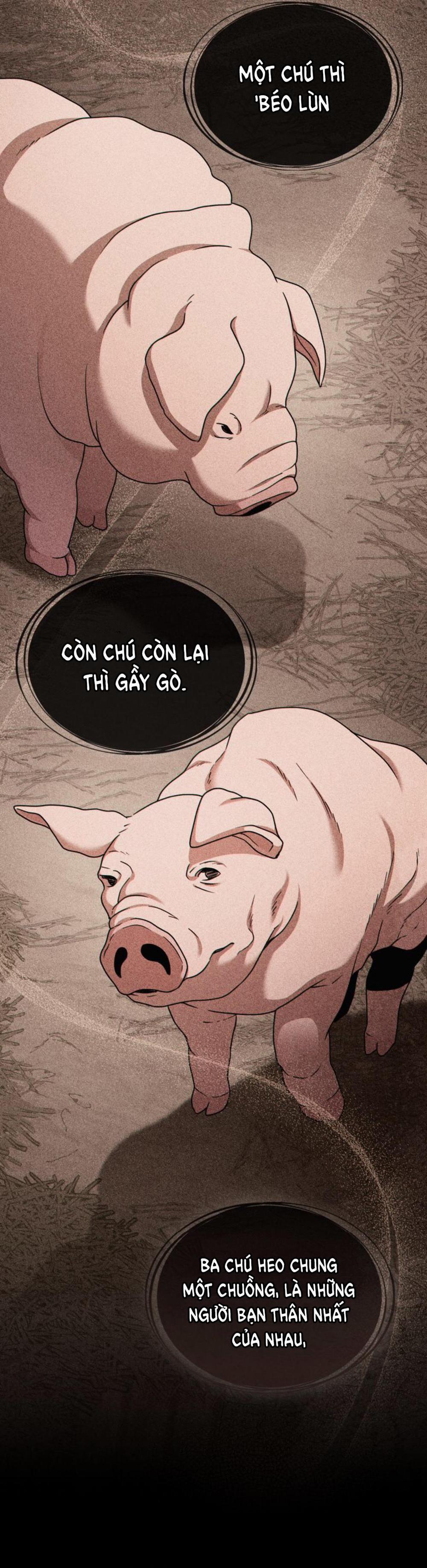 Ta có thể thấy hệ thống của ngươi 5 trang 4