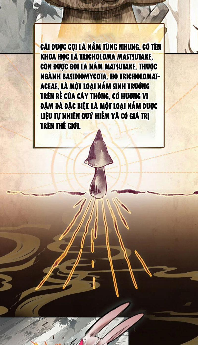 Ta Đây Chính Là Tuyệt Thế Cao Thủ 35 trang 18