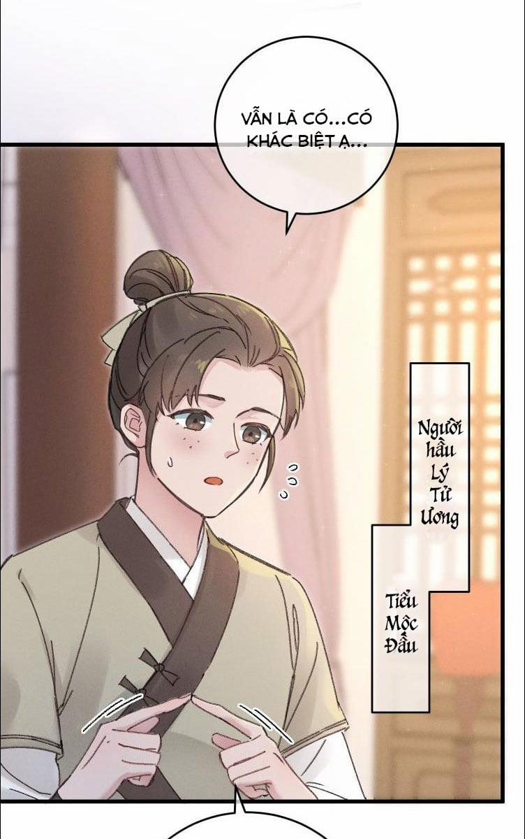 Ta Gả Vào Vương Phủ, Chỉ Muốn Kiếm Tiền 3 trang 3