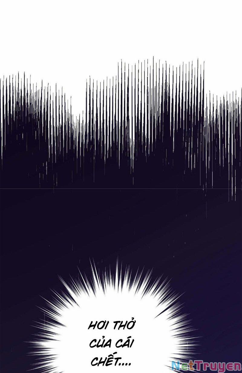 Ta Học Ma Pháp Tại Dị Giới 22 trang 17