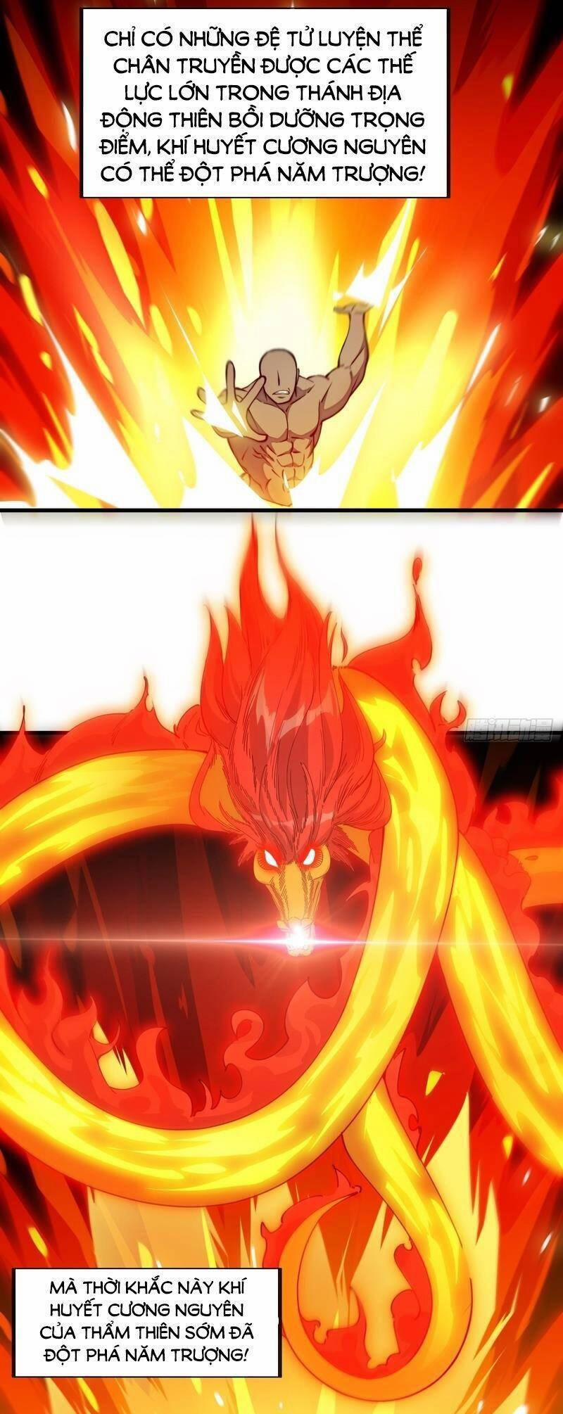 Ta Không Phải Con Cưng Của Khí Vận 99 trang 7