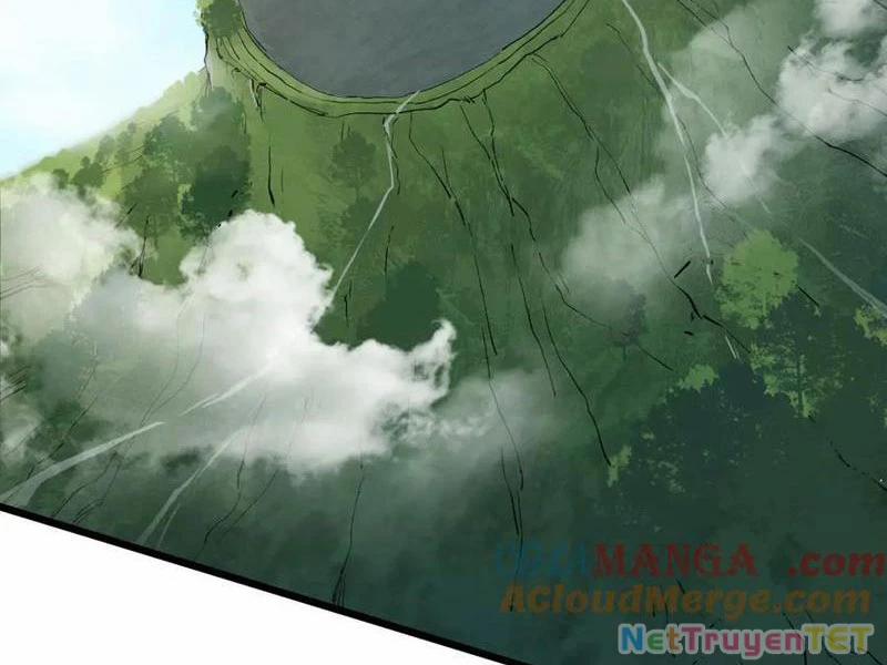 Ta Là Chúa Tể Trùng Độc 42 trang 1