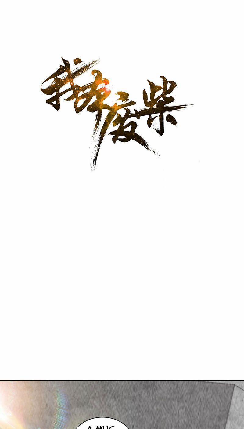 Ta Là Phế Vật 206 trang 0