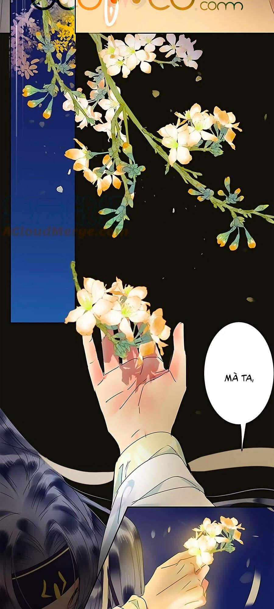 Ta Làm Lớn Ở Hậu Cung 168 trang 12