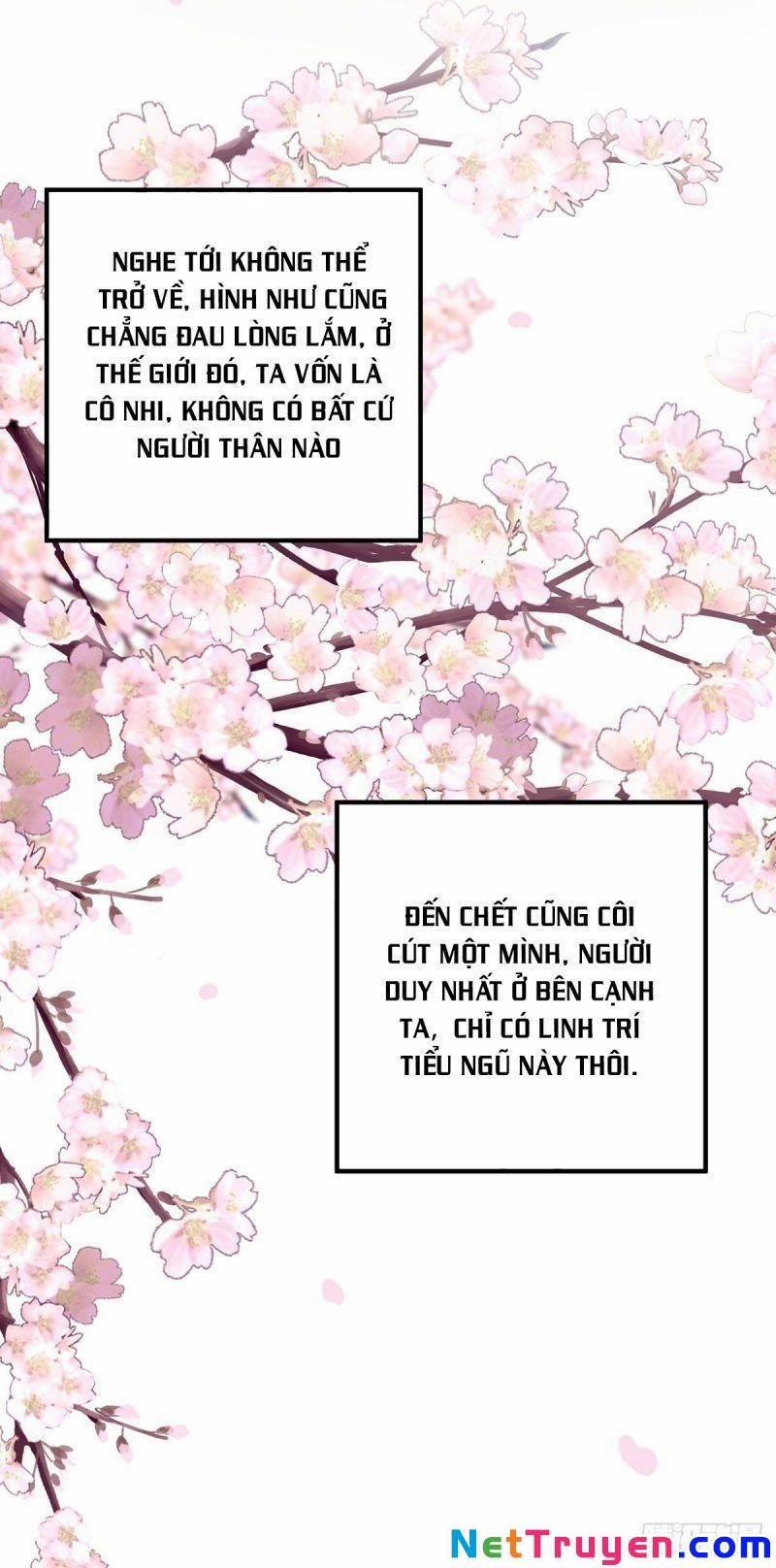 Ta Ở Dị Giới Nuôi Dưỡng Nam Thần: Thần Y Cửu Tiểu Thư 14 trang 17