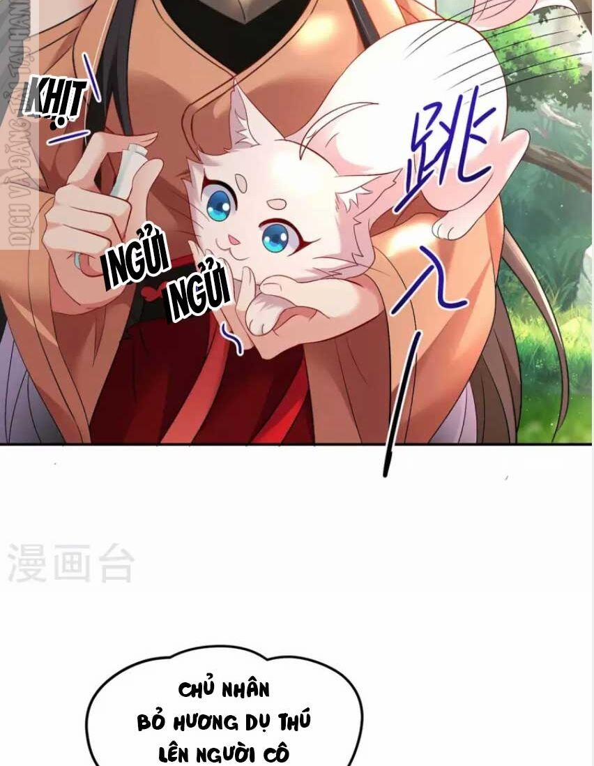 Ta Ở Dị Giới Nuôi Dưỡng Nam Thần: Thần Y Cửu Tiểu Thư 148 trang 23