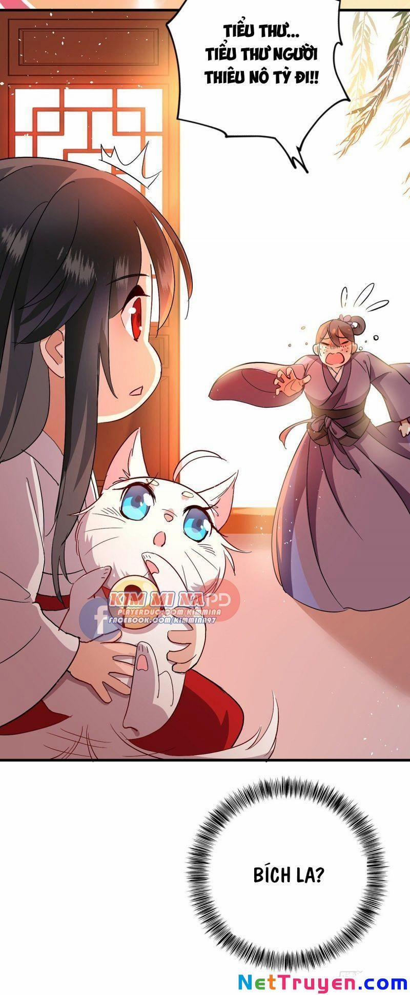 Ta Ở Dị Giới Nuôi Dưỡng Nam Thần: Thần Y Cửu Tiểu Thư 15 trang 17