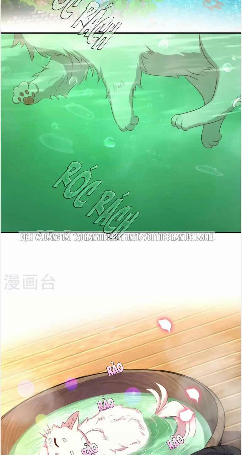 Ta Ở Dị Giới Nuôi Dưỡng Nam Thần: Thần Y Cửu Tiểu Thư 152 trang 2