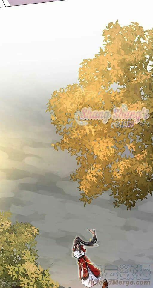 Ta Ở Dị Giới Nuôi Dưỡng Nam Thần: Thần Y Cửu Tiểu Thư 200 trang 3