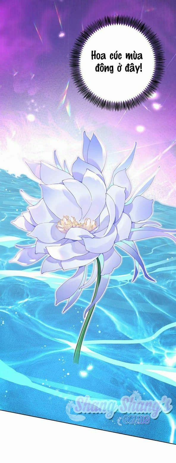 Ta Ở Dị Giới Nuôi Dưỡng Nam Thần: Thần Y Cửu Tiểu Thư 203 trang 13