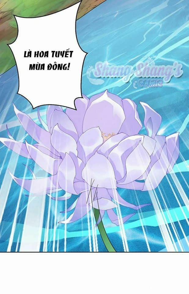 Ta Ở Dị Giới Nuôi Dưỡng Nam Thần: Thần Y Cửu Tiểu Thư 203 trang 29