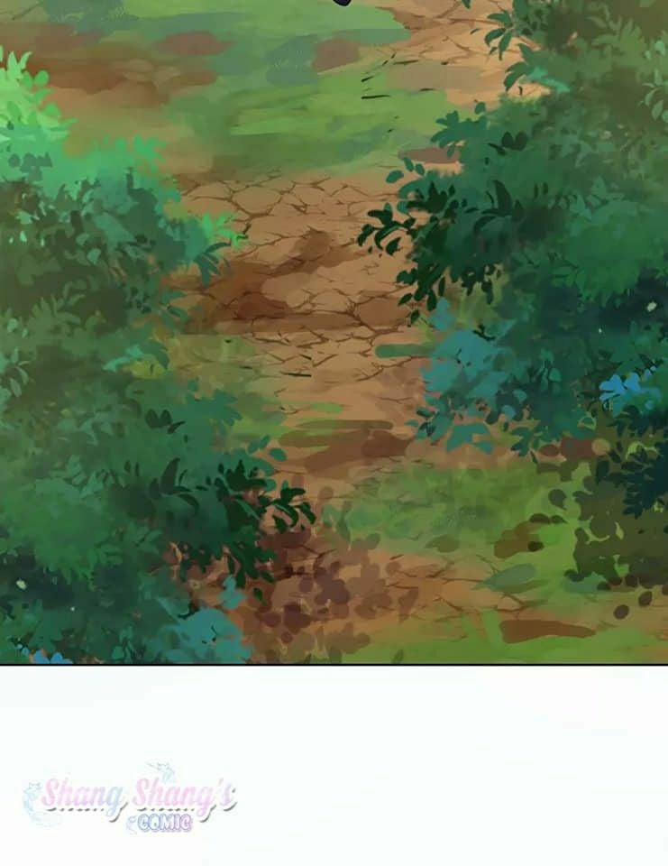 Ta Ở Dị Giới Nuôi Dưỡng Nam Thần: Thần Y Cửu Tiểu Thư 206 trang 27